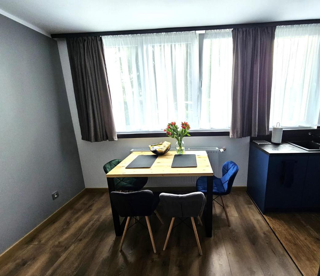 Apartament Leszczynska 29 Bielsko-Biała Exterior foto
