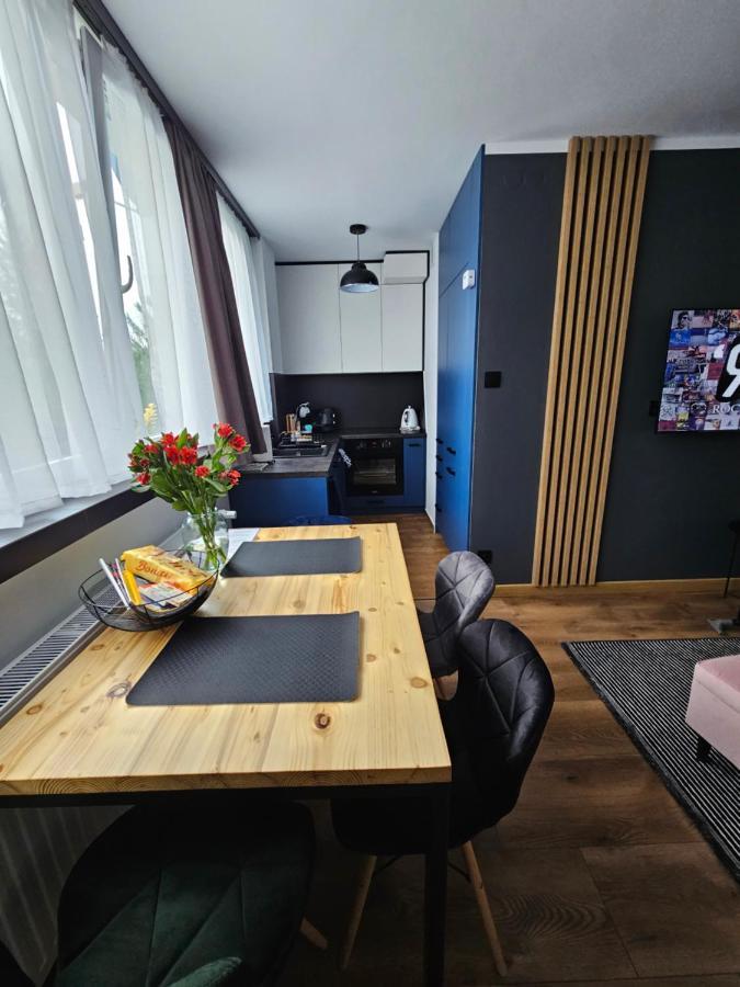 Apartament Leszczynska 29 Bielsko-Biała Exterior foto
